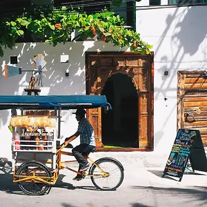 The Village Boutique *** Плая-дель-Кармен