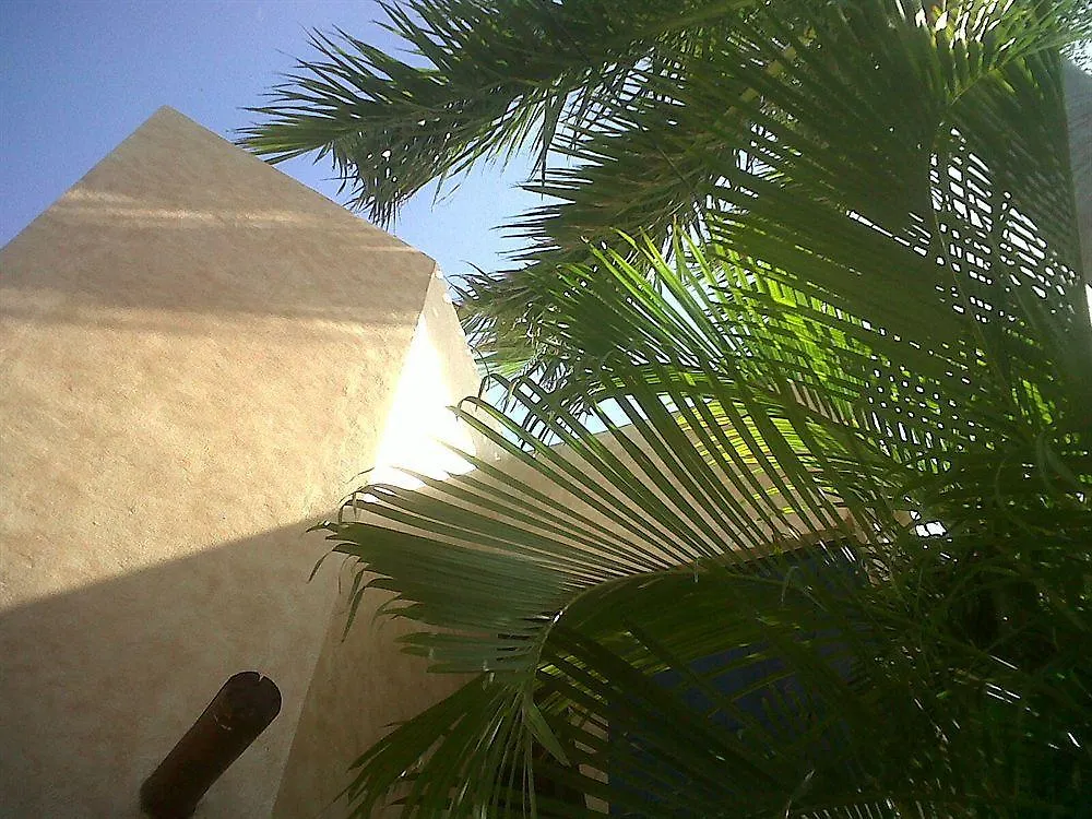 Barrio Latino Hotel Riviera Maya Playa del Carmen