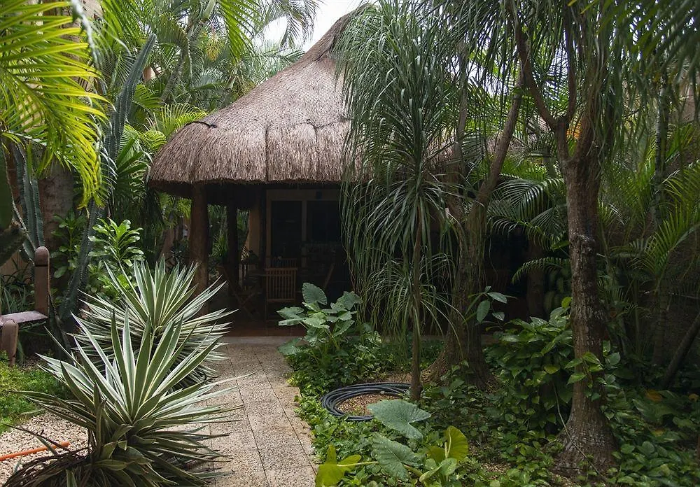 Barrio Latino Hotel Riviera Maya Playa del Carmen