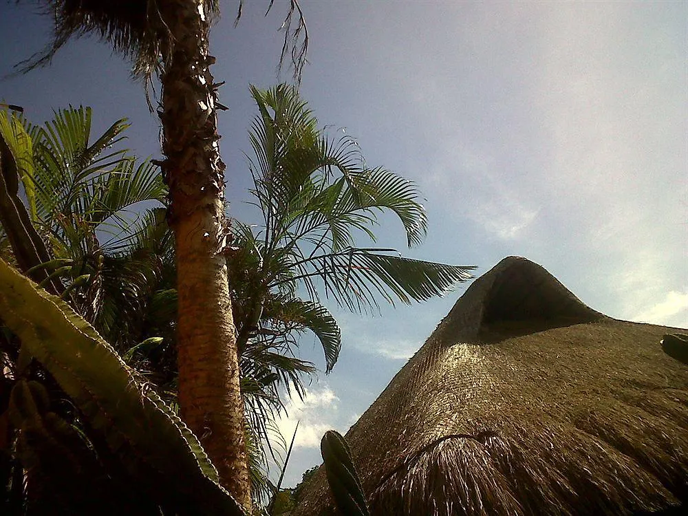 Hotel Barrio Latino Playa del Carmen Meksika